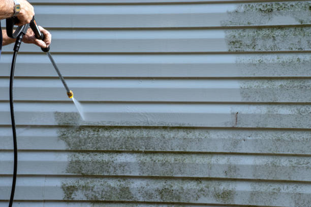 Affordable siding repair and maintenance services in Amherst, VA